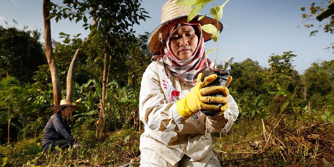 Woman fully equipped, planting a tree in a green environment
