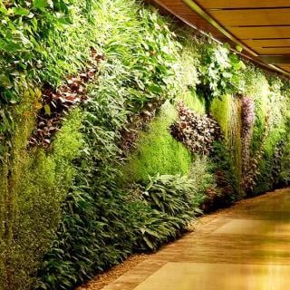 mur végétal intérieur couloir hotel